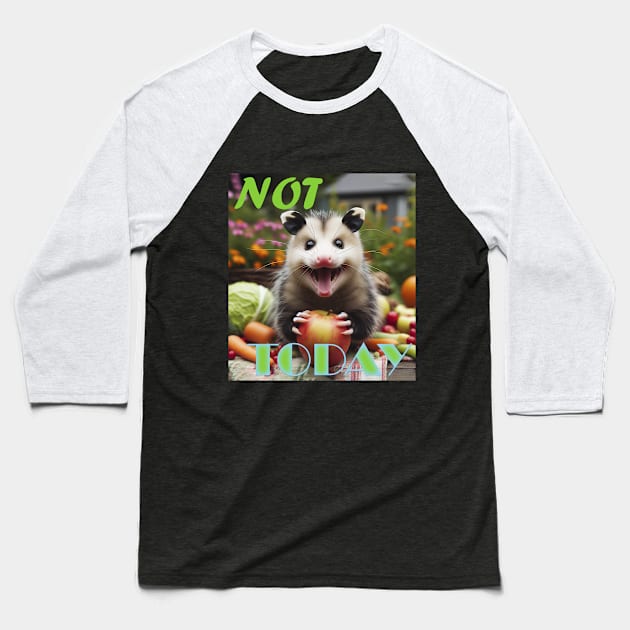 Joyful Opossum Baseball T-Shirt by BukovskyART